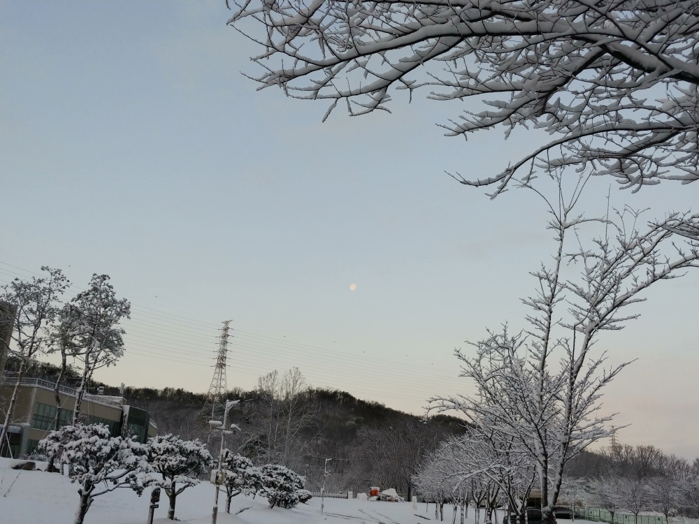 21학년도 첫 등교의 날